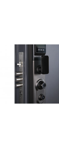 Биометрический врезной дверной замок Smart lock DZ015B