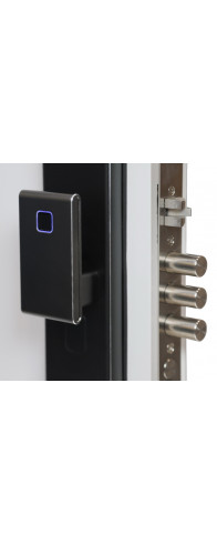 Биометрический врезной дверной замок Smart lock DZ21Pro Биометрический врезной дверной замок Smart lock DZ21Pro