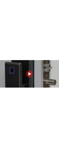 Биометрический врезной дверной замок Smart lock DZ21Pro Биометрический врезной дверной замок Smart lock DZ21Pro