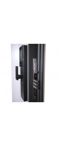 Биометрический врезной дверной замок Smart lock DZ 888