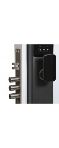 Биометрический врезной дверной замок Smart lock DZ21Pro Биометрический врезной дверной замок Smart lock DZ21Pro