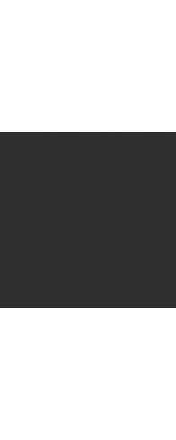Стальная дверь "Сенатор с зеркалом". Заказная модель. Стальная дверь "Сенатор с зеркалом". Заказная модель.