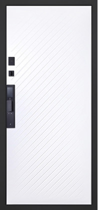 Стальная дверь "Vertu" (биометрический замок)