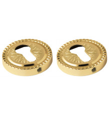 Накладка Armadillo (Армадилло) под цилиндр ET.R.CL55 (ET/CL) GOLD-24 золото 24К