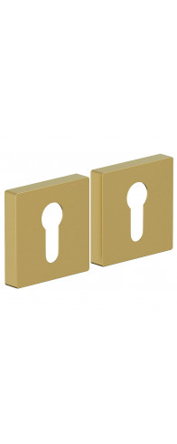 AS-6CL, цвет: SGold AS-6CL, цвет: SGold